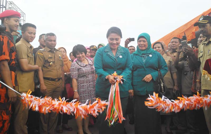 Ketua PKK Ketapang
