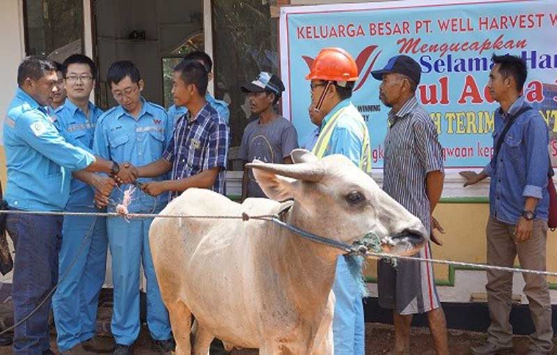 Qurban