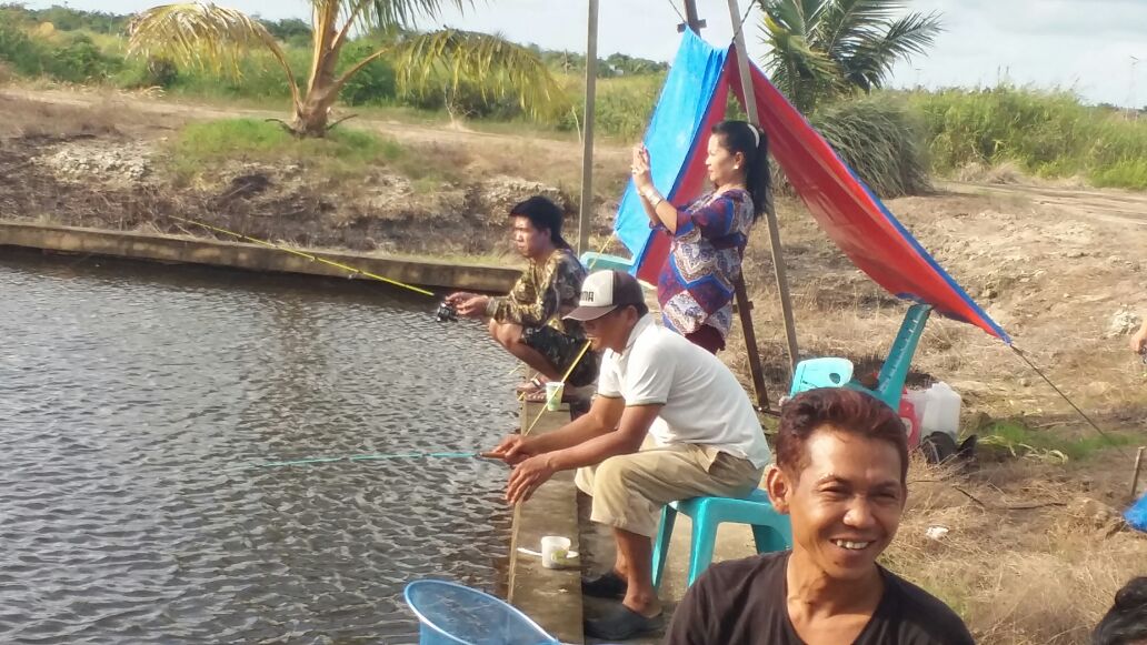 ultah