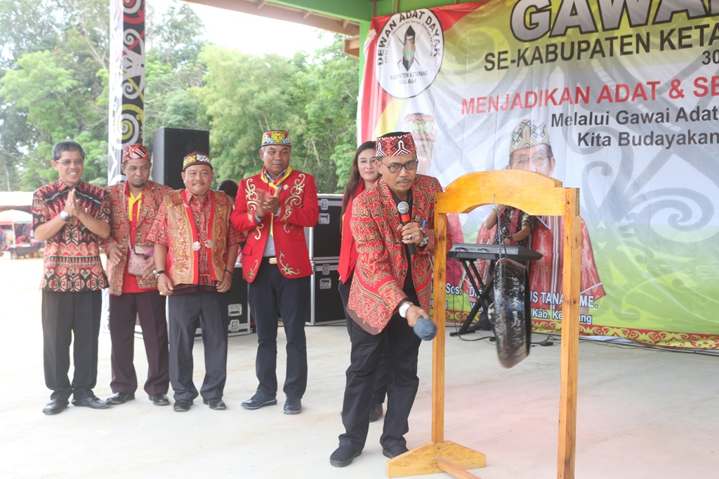 Bupati Martin Rantan SH M.sos, menyaksikan pembukaan gawai adat DAD Ketapang ke VI di Desa Asam Besar Manis Mata