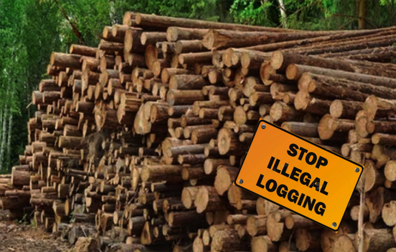 Stop-Illegal-Logging-Net