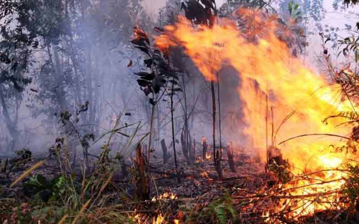 Mencegah Kebakaran Adalah Tugas Bersama