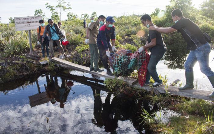 Ketika Orangutan Terusir Dari Habitatnya