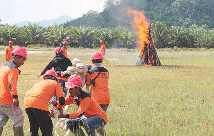 Antisipasi Karhutla, PT KAL Berdayakan KTPA Desa