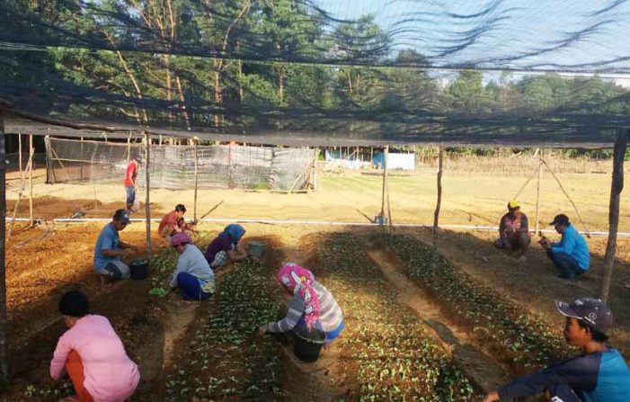 WHW AR Kembangkan Program Pemberdayaan Masyarakat Berbasis Desa