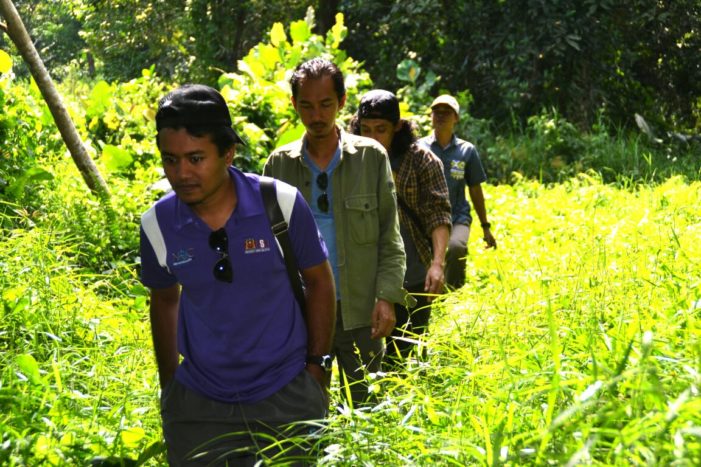 Survei Kelulut di Pematang Gadung