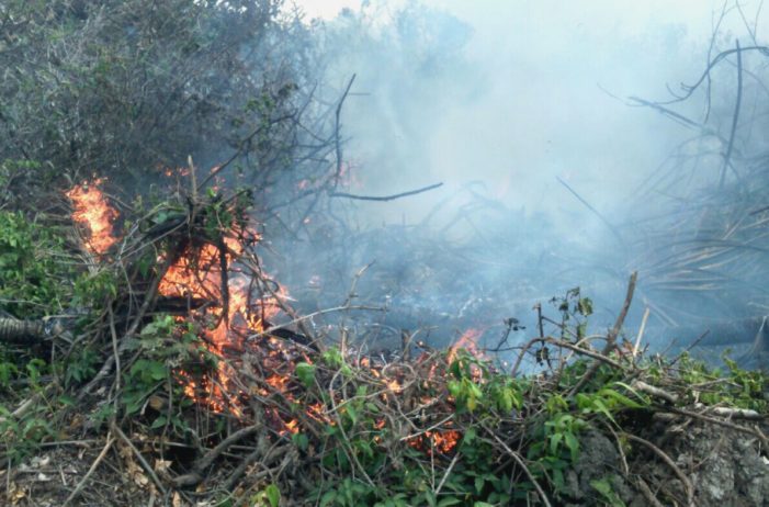 Hingga Dua Bulan Kedepan, Titik Rawan Karhutla di Patroli
