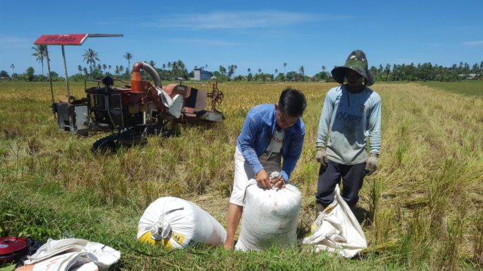 Petani Ketapang Keluhkan Pupuk Subsidi Langka Petani Ketapang Keluhkan Pupuk Subsidi Langka
