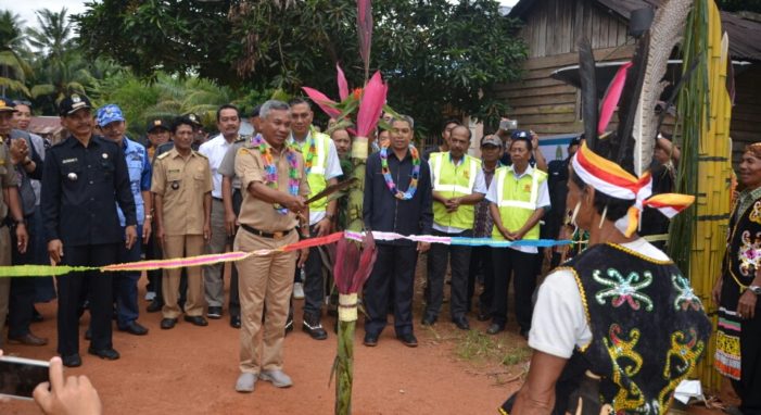 Akhirnya Tiang Listrik Di Desa Lanjut Mekar Sari Berdiri Tegak