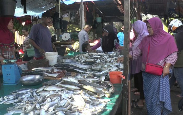 Harga Ikan di Ketapang Naik