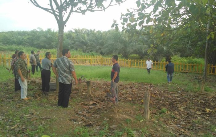Fakta Sebenarnya Atas Ditudingnya PT LSM Gusur Kuburan