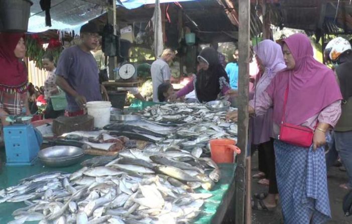 Pasca Tahun Baru, Harga Ikan Gembung Turun