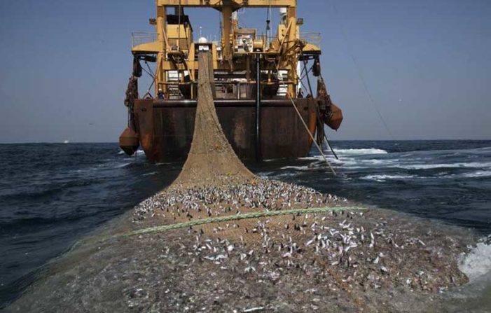 Nelayan Diminta Ganti Alat Tangkap Ikan Sesuai Permen