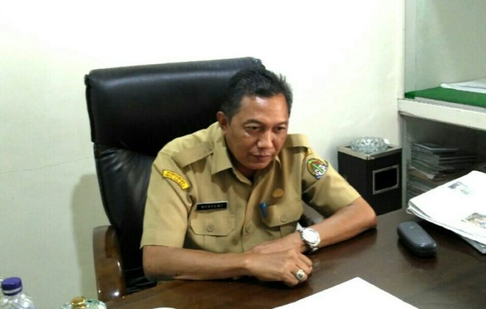 Dinkes: Januari 2018 Tercatat 56 Orang Terserang DBD