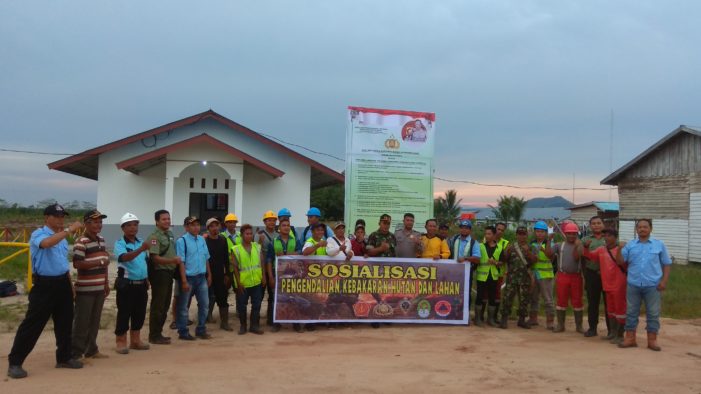 Meredam Terjadinya Kebakaran Hutan dan Lahan