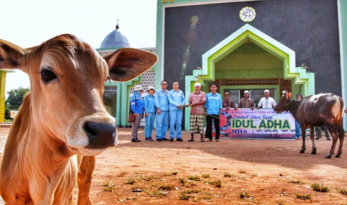Rayakan Idul Adha, WHW AR Berikan 22 Hewan Qurban Ke Masyarakat Sekitar