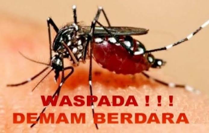 Dinkes Ketapang Ajak Masyarakat Jaga Kebersihan Lingkungan