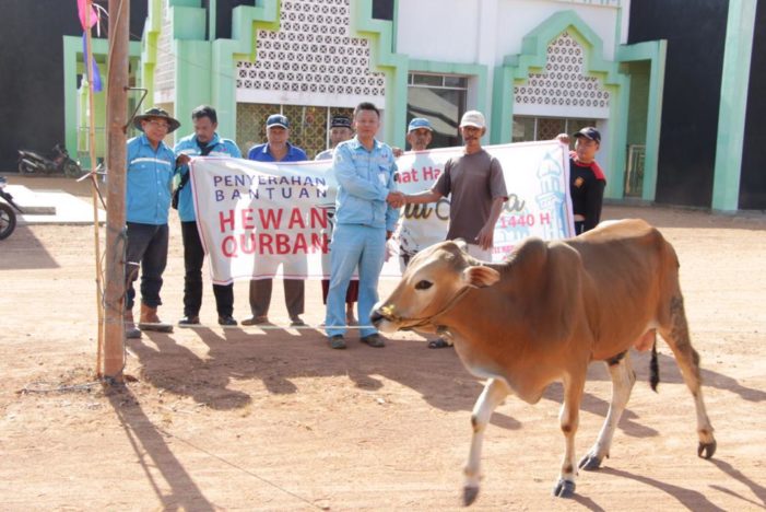 Rayakan Idul Adha, PT WHW AR Sebar Hewan Qurban