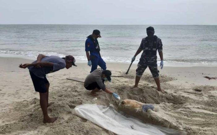 Warga Kendawangan Temukan Mayat Tanpa Kepala