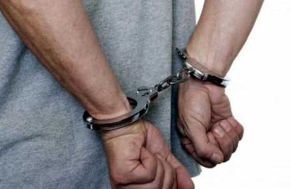 Polisi Ringkus Empat Pencuri Sarang Walet
