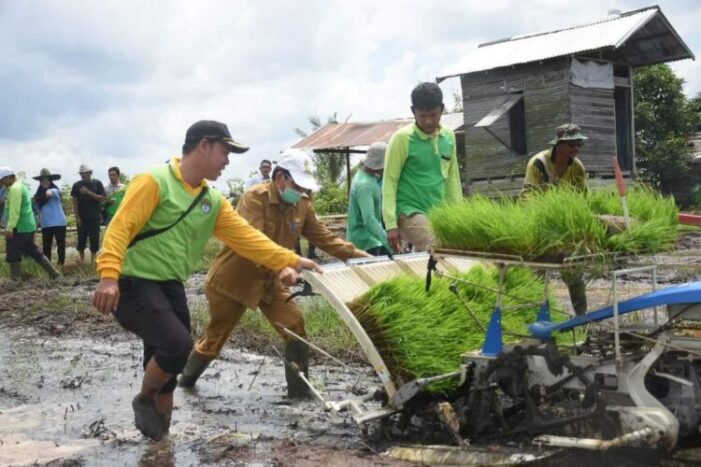 Pemda Ketapang Tidak Berhenti Meningkatkan Infrastruktur Pertanian