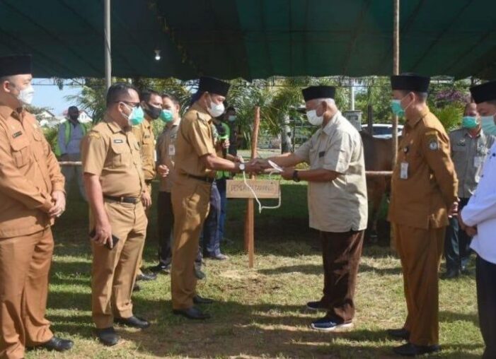 Pemda Serahkan Tujuh Ekor Sapi Kurban