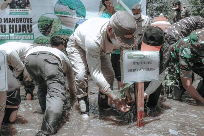 Bupati Ketapang Resmikan Kawasan Hutan Wisata Mangrove