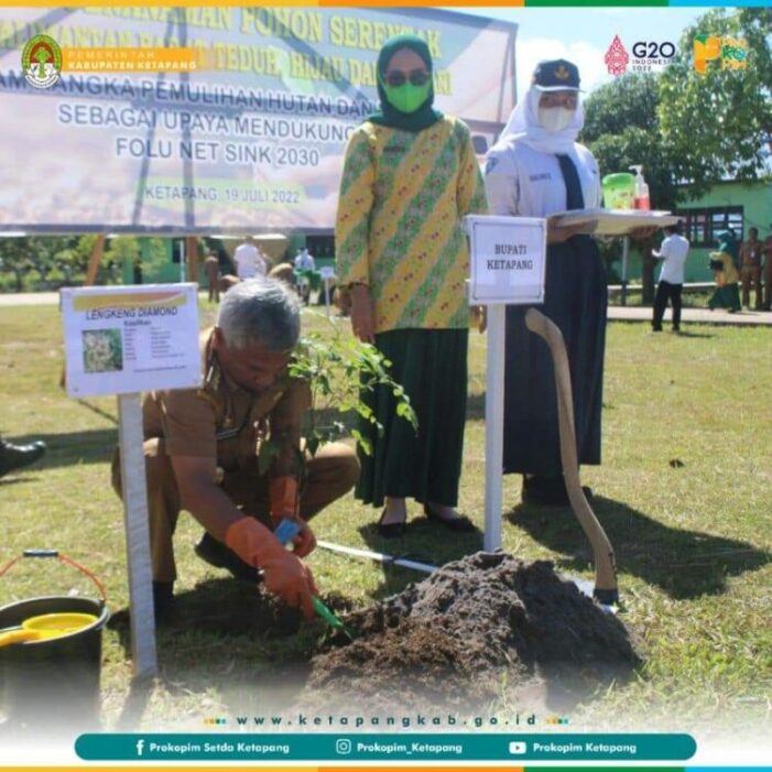 Bupati & Wabup Ketapang Dukung Penanaman Pohon Serentak