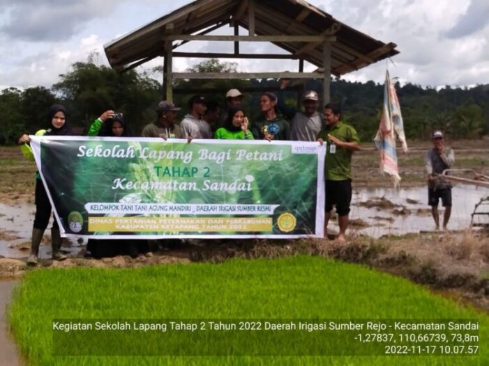 Tingkatkan Kesejahteraan Petani, DPPP Gelar Sekolah Lapang