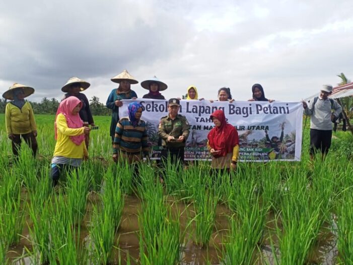 Ajak Petani Tingkatkan Kapasitas Melalui Sekolah Lapang