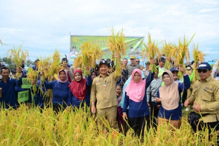 Sekda Hadiri Panen Raya dan Serahkan Bantuan Alat Pertanian