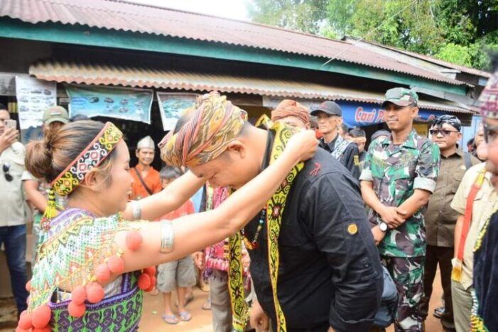 Sekda Hadiri Acara Adat Kolatn Kabarutn Sayak Rampang Padi