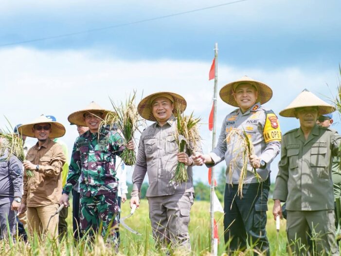 Bupati Dan Wakil Bupati Ketapang Panen Padi Serentak Bersama Presiden Prabowo