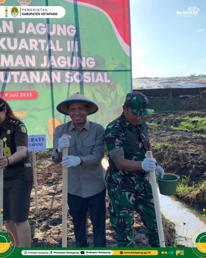 Sekda Tanam Jagung Bersama Forkopimda