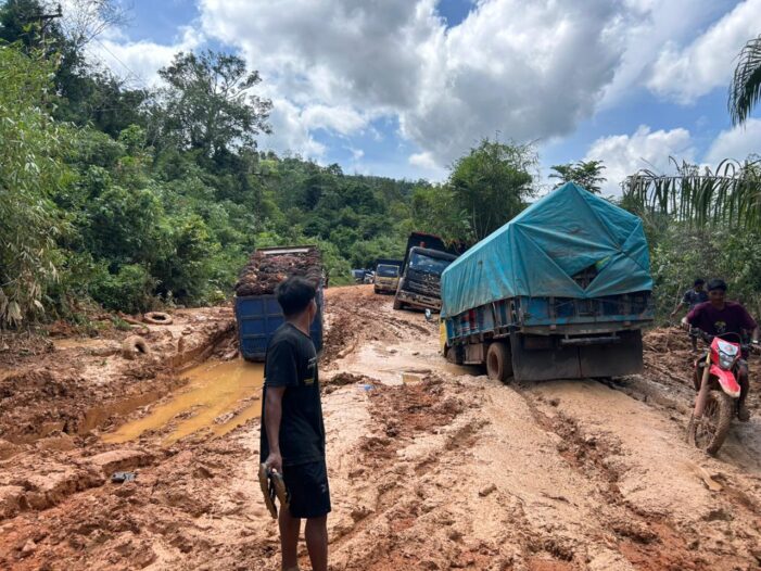 Jalan Provinsi di Ketapang Hancur Lebur, Warga Tagih Janji Gubernur