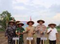 Pemkab Ketapang Ikuti Penanaman Jagung Serentak Nasional
