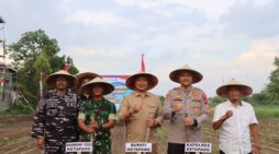 Pemkab Ketapang Ikuti Penanaman Jagung Serentak Nasional