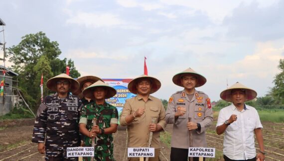 Pemkab Ketapang Ikuti Penanaman Jagung Serentak Nasional Pemkab Ketapang Ikuti Penanaman Jagung Serentak Nasional