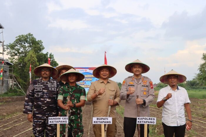 Pemkab Ketapang Ikuti Penanaman Jagung Serentak Nasional