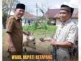 Pemkab Ketapang Serahkan Hewan Kurban Iduladha 1447 H